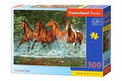 Puzzle 300 elementów - Cascade run