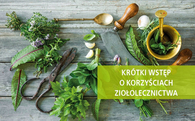 Zioła Naturalne Lekarstwa Z Pól i Ogrodów 100 Gatunków Roślin SBM