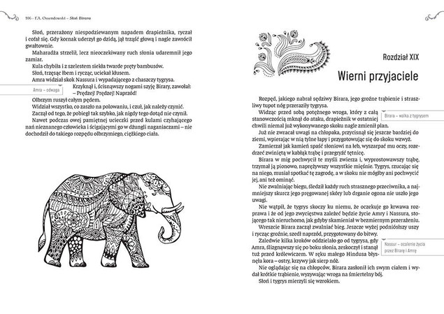 Słoń Birara lektury z opracowaniem