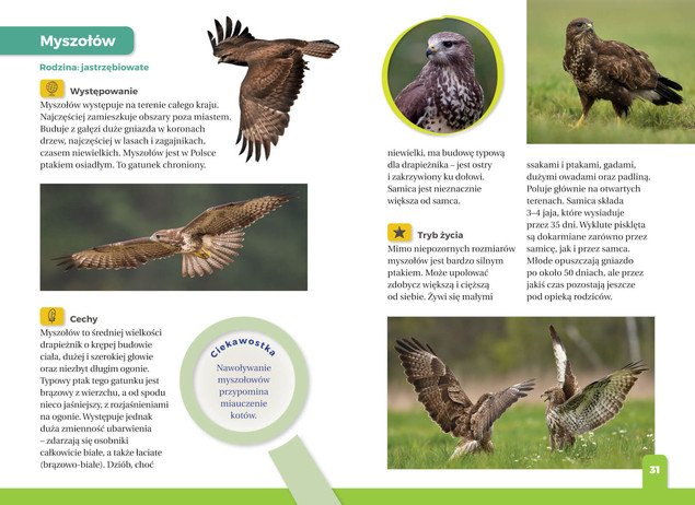 Encyklopedia Dla Dzieci Jaki To Ptak? Atlas Nagrody TW SBM