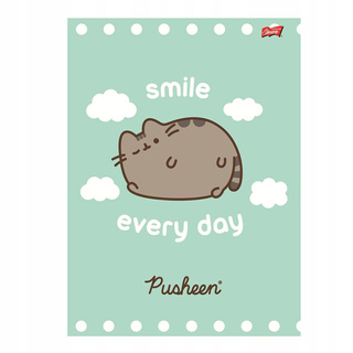 Zeszyt A5 32 Kartki Linkia podwójna Kolor w Trzylinie Kotek Pusheen
