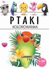 Kolorowanka z naklejkami ptaki Praca zbiorowa