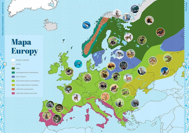 Moja Pierwsza Encyklopedia Zwierzęta - GREG