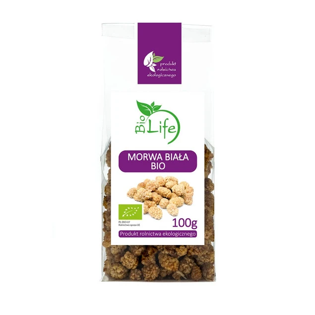Morwa biała Biolife w deserze