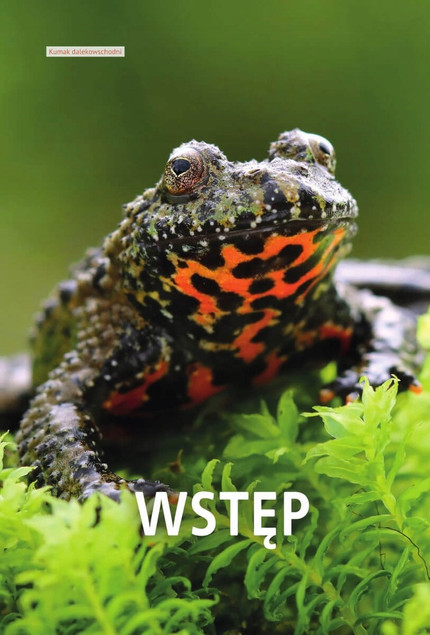 Atlas GADÓW i PŁAZÓW Hodowlanych 100 Gatunków SBM