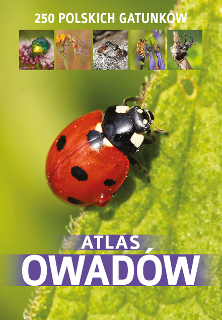 Atlas Owadów 250 Polskich Gatunków (Dodruk 2022) Twardowski SBM