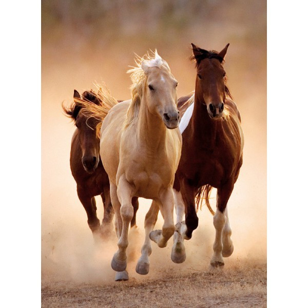 Clementoni Puzzle HQC 1000 Running horses 39168