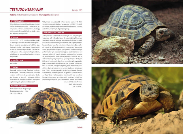 Atlas GADÓW Hodowlanych 100 Gatunków Jaszczurki Żółwie Krokodylowe SBM