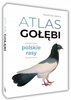 GOŁĘBIE POLSKIE
