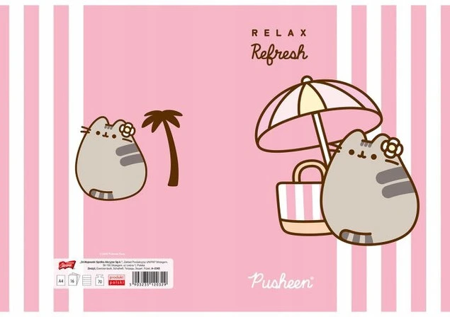 Zeszyt Pusheen A4 do nauki pisania widok dodatkowy