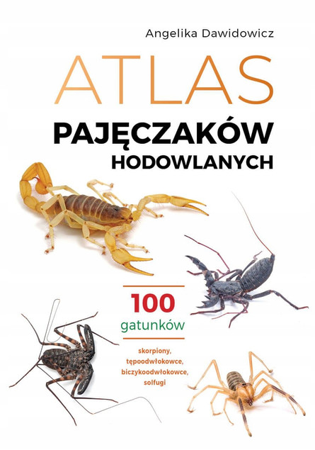 Atlas Pajęczaków Hodowlanych: 100 Gatunków – Angelika Dawidowicz