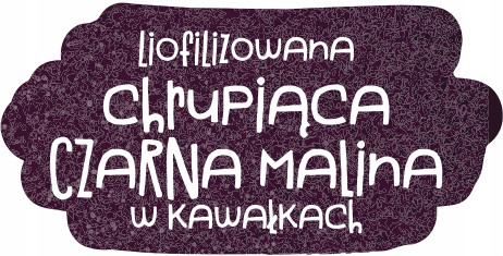 OtoLandia Tęczowy ogród Owoce liofilizowane w kawałkach Malina czarna 20 g