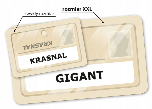 GRA PLANSZOWA TAJNIACY XXL REBEL