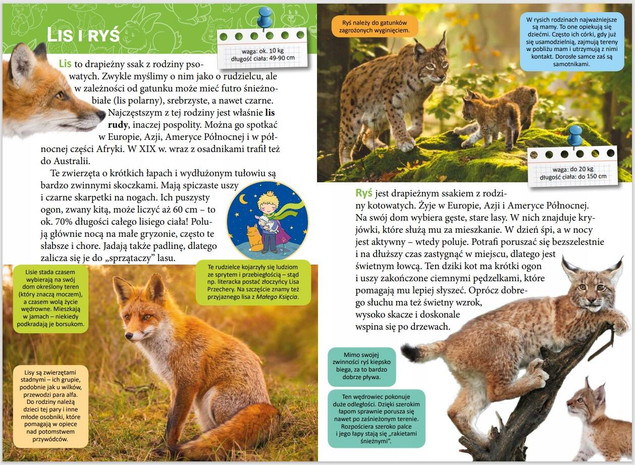 Mała encyklopedia. Zwierzęta leśne