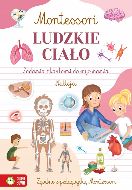 Montessori Ludzkie ciało – Zuzanna Osuchowska