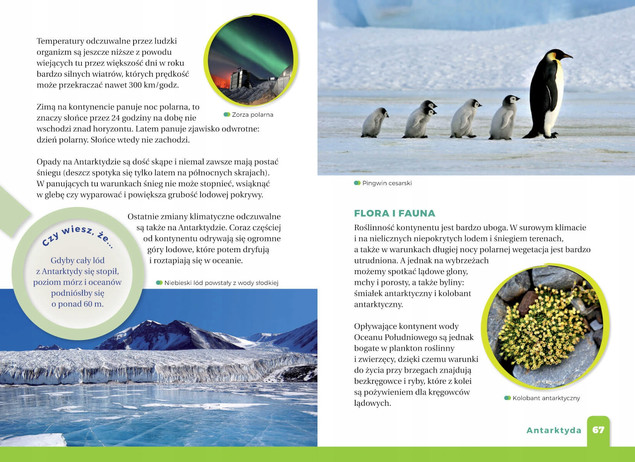 Encyklopedia Dla Dzieci JAKI TO KONTYNENT? Atlas Nagrody SBM (TW)