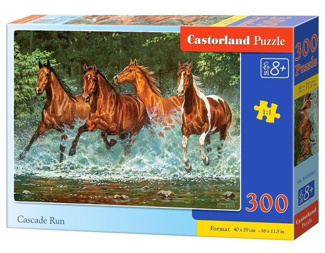Puzzle 300 elementów - Cascade run