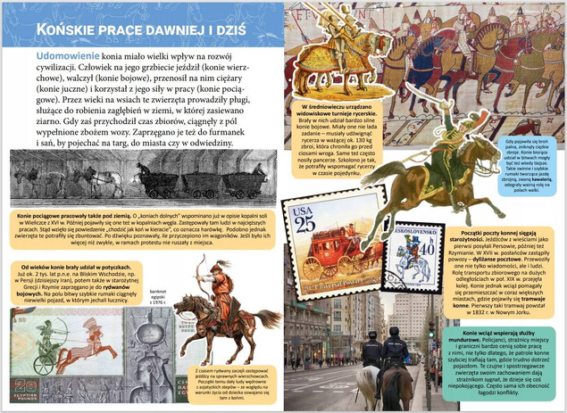 Mała encyklopedia. Konie