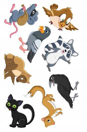 Kolorowanka z tatuażami. Zwierzęta miejskie