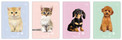 Zeszyt A5 16 kartkowy trzylinia kolorowa pieski kotki Puppy Sign Interdruk
