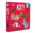 Koty. POP-UP 10 David Hawcock