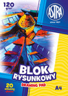 Blok Rysunkowy BIAŁY Dla Dzieci Szkoła Plastyka A4/10k 120g Astra