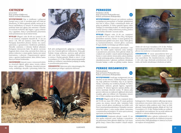 Ptaki Polski Jan Król – Obszerny Atlas i Przewodnik Ornitologiczny