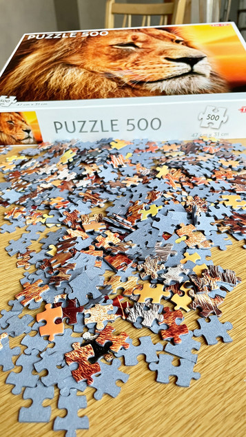 Puzzle Tactic African Lion 500 elementów Lew Afrykański