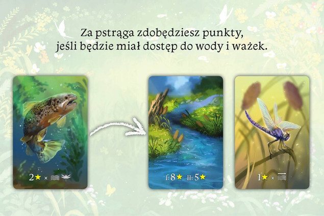Ekosystem Gra Planszowa – Nasza Księgarnia