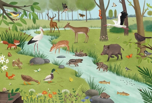 Puzzle Schmidt Spiele 3x24 Zwierzęta Leśne i Łąkowe