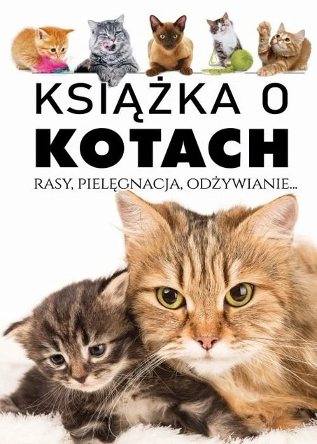 Książka o kotach. Rasy pielęgnacja odżywianie Praca zbiorowa