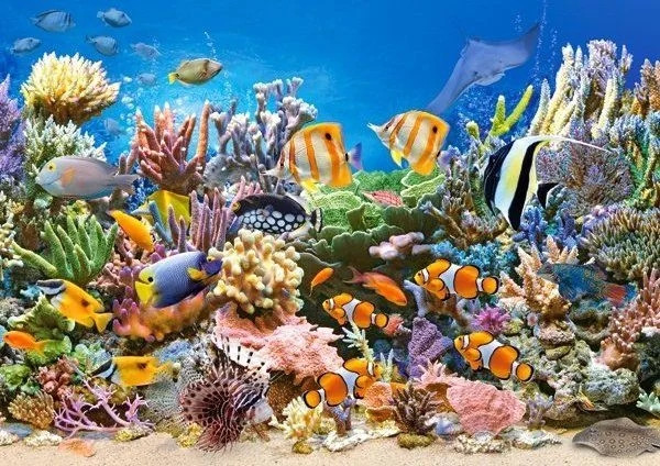 Puzzle 260 Ryby RAFA KORALOWA Ocean Kolory Rybki Zwierzęta 8+ Castorland