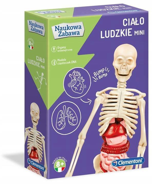 Ciało Ludzkie Model ANATOMIA Naukowa Zabawa MINI 8+ Clementoni 50515