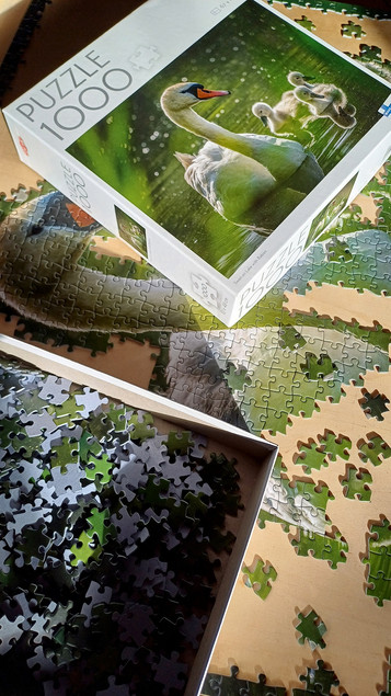 Puzzle 1000 TACTIC Lovers: Łabędź na Jeziorze z Dziećmi