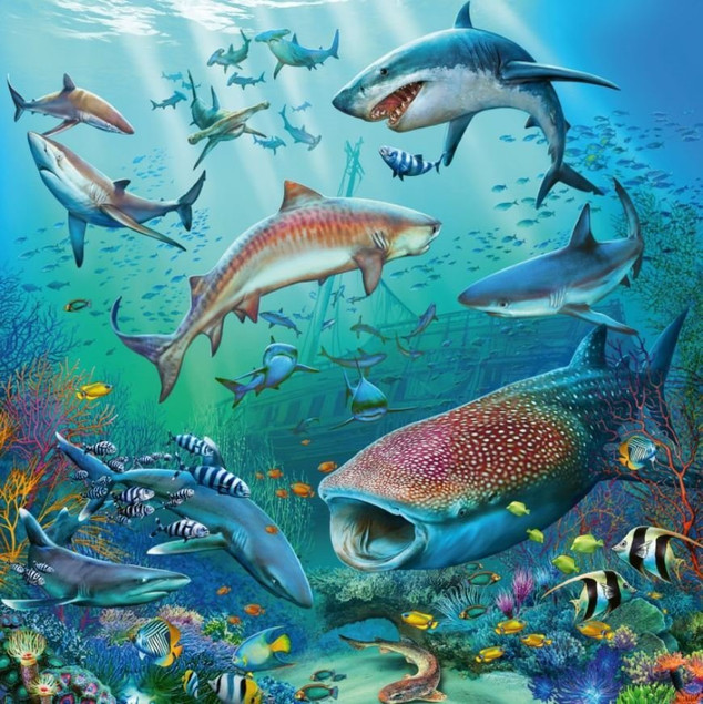 Puzzle Ravensburger Podwodne życie 3x49 elementów dla dzieci 5+ (147 el.)