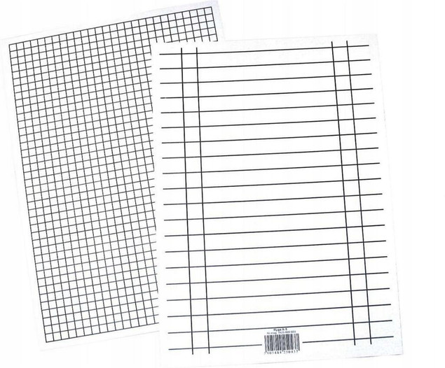 Liniuszek A5 kratka/linia Interdruk