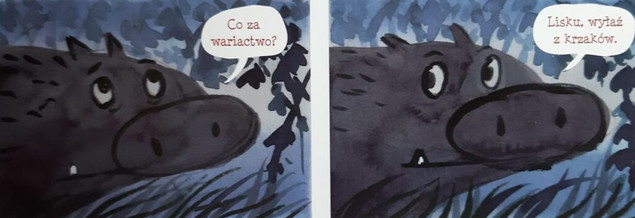 Malutki lisek i wielki dzik tom 6 Okropieństwo Berenika Kołomycka
