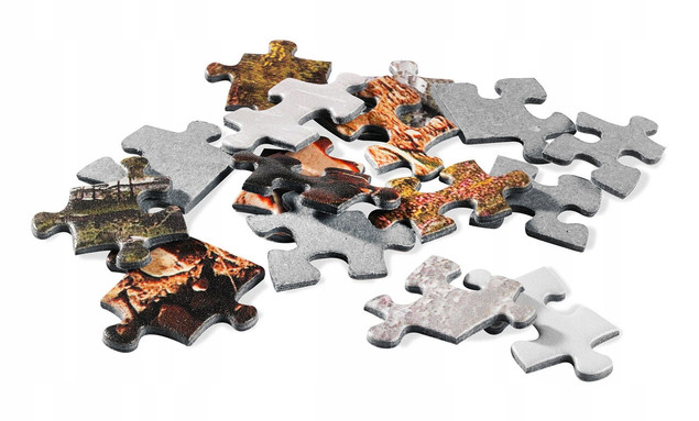 Puzzle 1000 Kocie spotkanie Trefl 10555