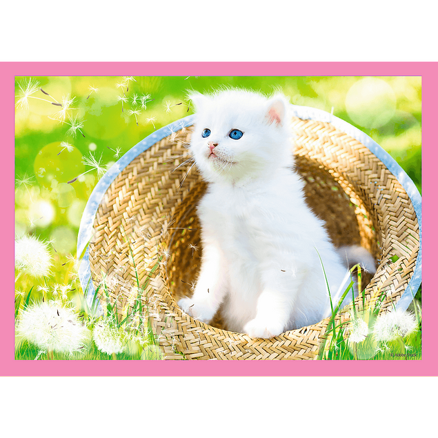 Puzzle 4w1 Zabawne kotki Trefl 34396 