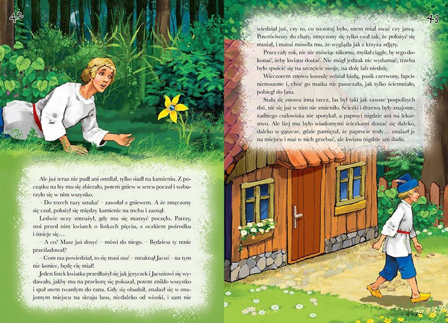 Najpiękniejsze Baśnie Polskie Kolorowa Klasyka Edmund Jezierski TW Greg