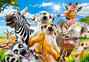 Puzzle 260 Układanka Safari Afryka ZWIERZĘTA Zebra Selfie 8+ Castorland