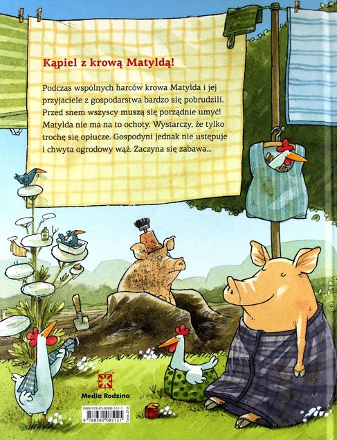Krowa Matylda bawi się wodą