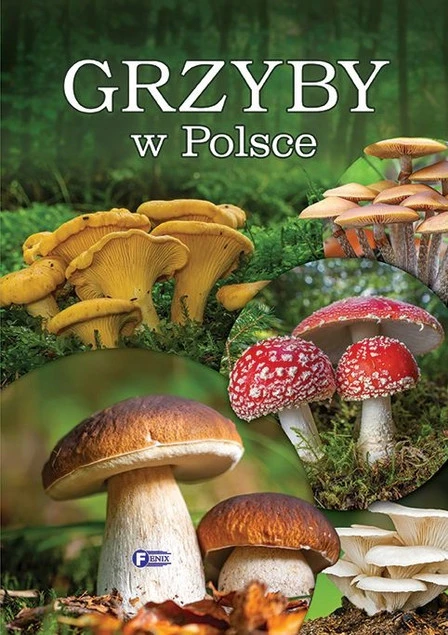 Grzyby w Polsce Praca zbiorowa