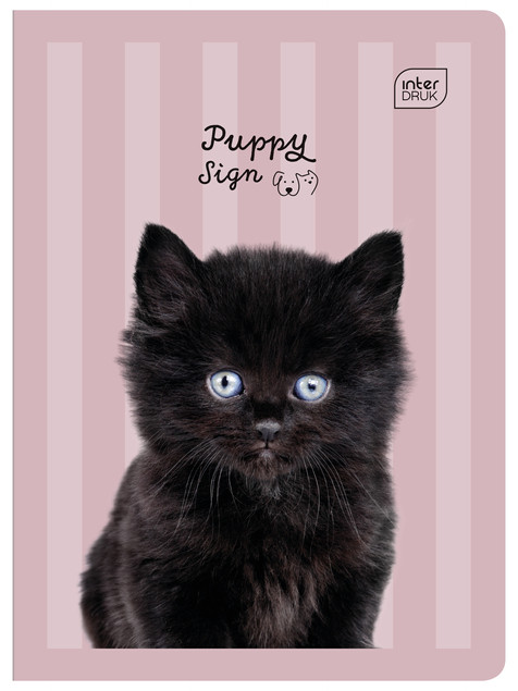Zestaw 4 zeszytów A5 w 3 linię 32 kartki Puppy – Interdruk