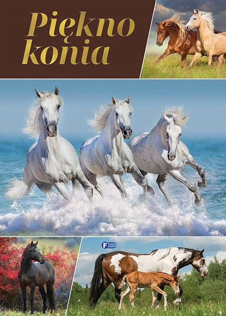 Piękno konia Praca zbiorowa