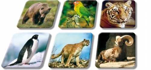 Memory Zoo - gra pamięciowa zwierzęta dla dzieci 5+