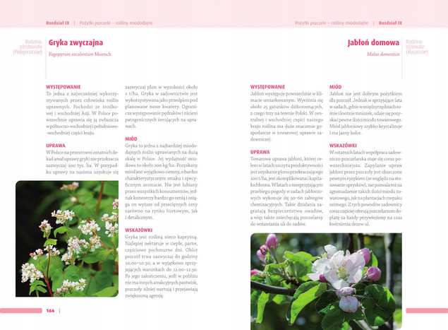 Atlas PSZCZELARZA Hodowla Kalendarz Prac Miód SBM