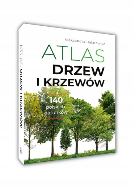 Dzikie kwiaty