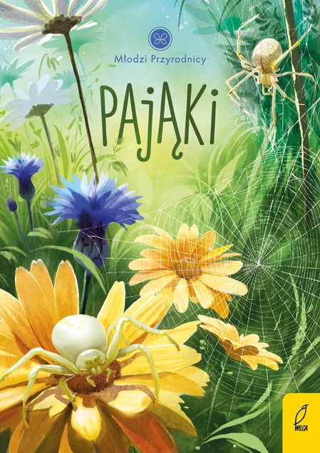 Różne gatunki pająków