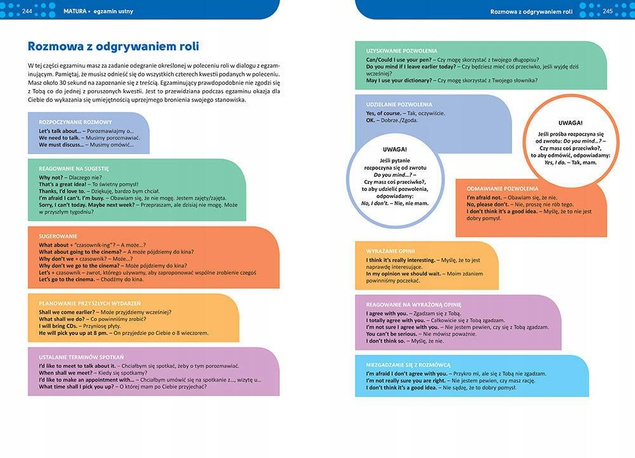 Repetytorium Język Angielski Liceum/Technikum Matura 2024 Greg